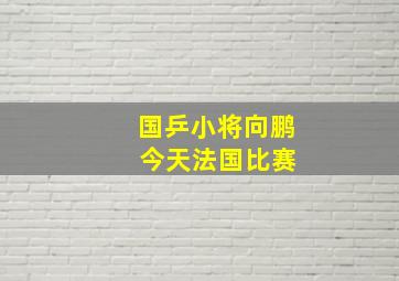 国乒小将向鹏 今天法国比赛